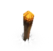 Torch