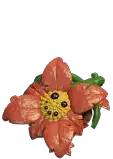 Friendly Flower
